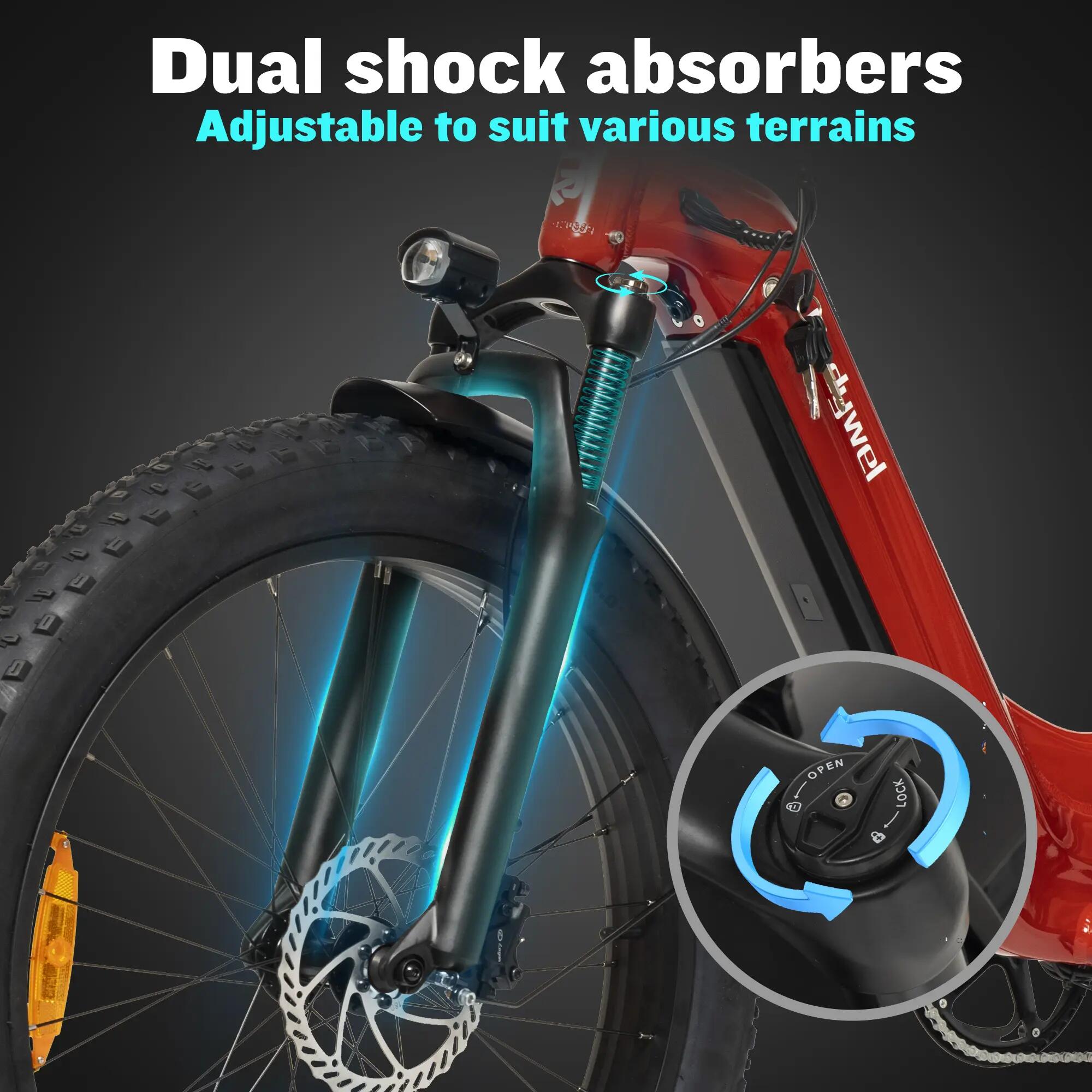 Bicicleta elétrica para adultos Bodywel D9, bateria de 48V 20Ah, motor de 250W 4/6