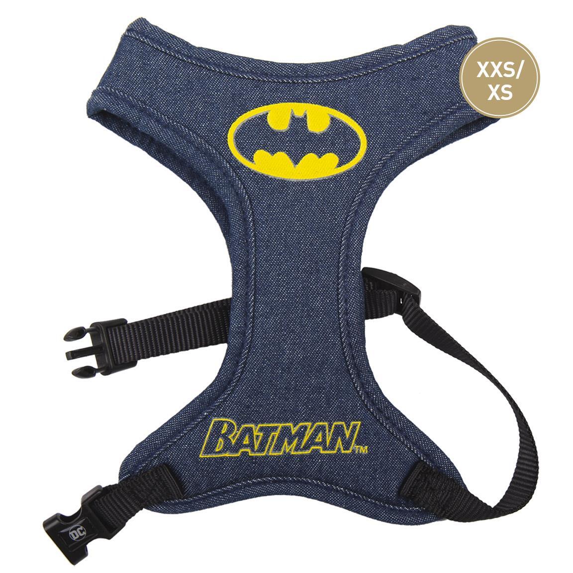 BATMAN picture