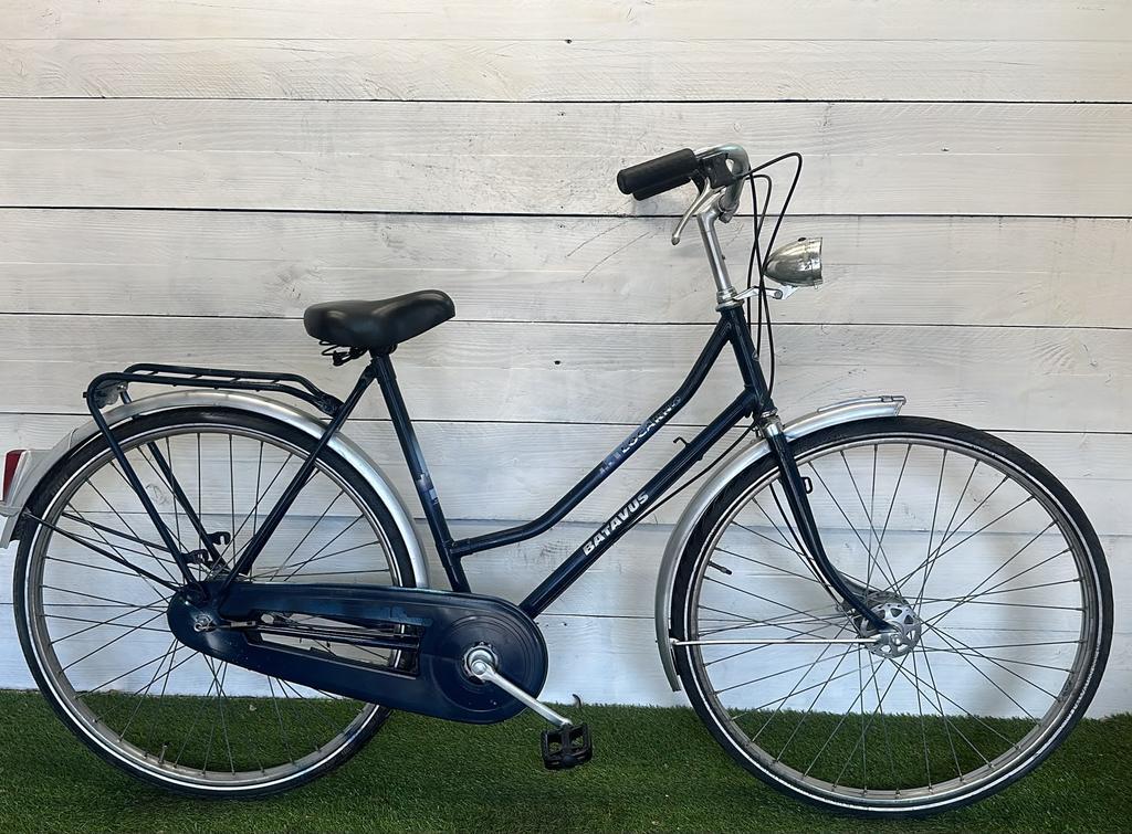 BATAVUS picture