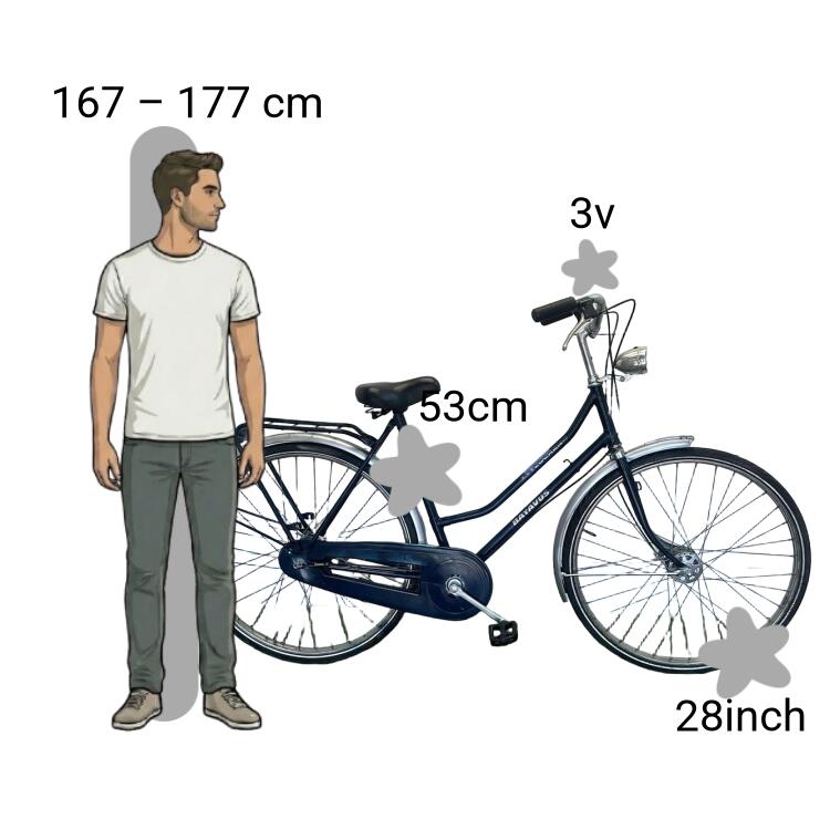 Bicicletta usata Batavus Locarno 2/4
