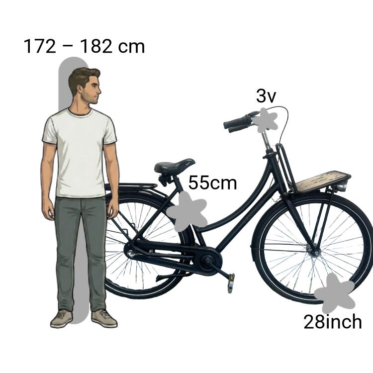 Bicicletta usata Batavus Packd 2/4