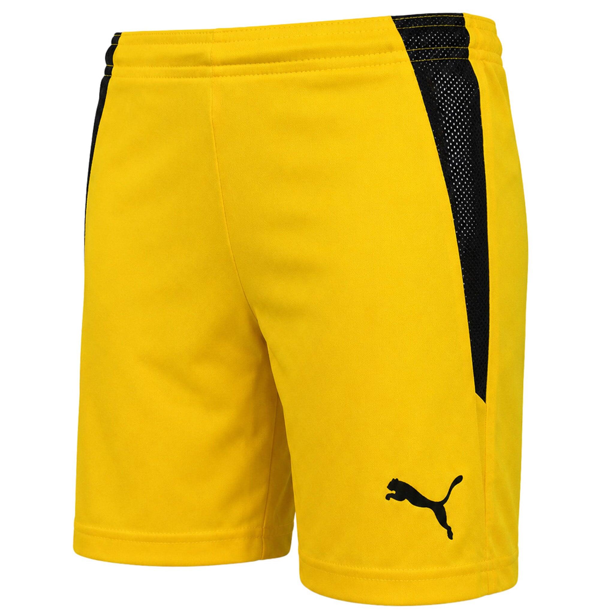 Kinder shorts Puma Team Liga 2/3