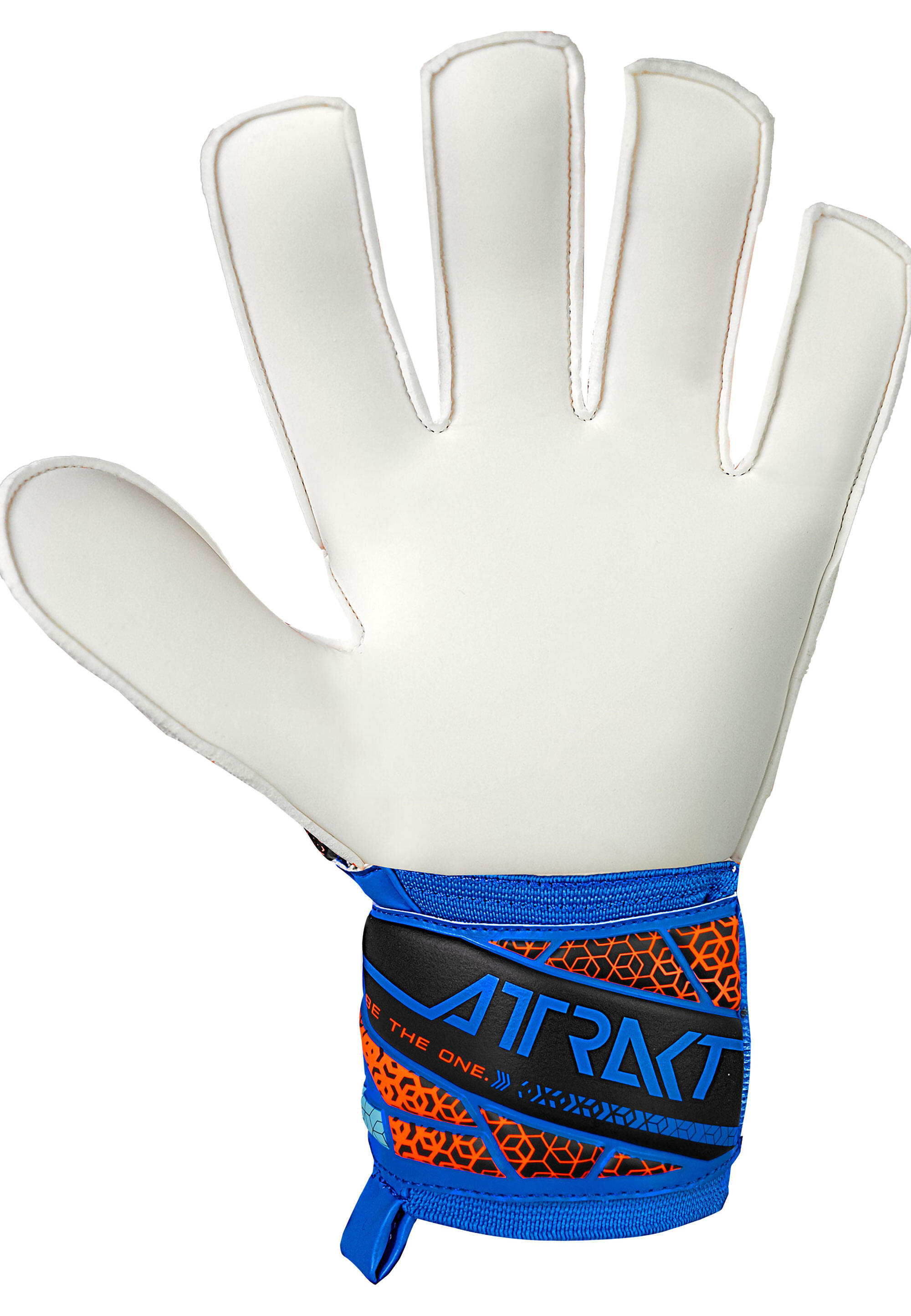 Torwarthandschuhe Reusch Attrakt Solid 11/15