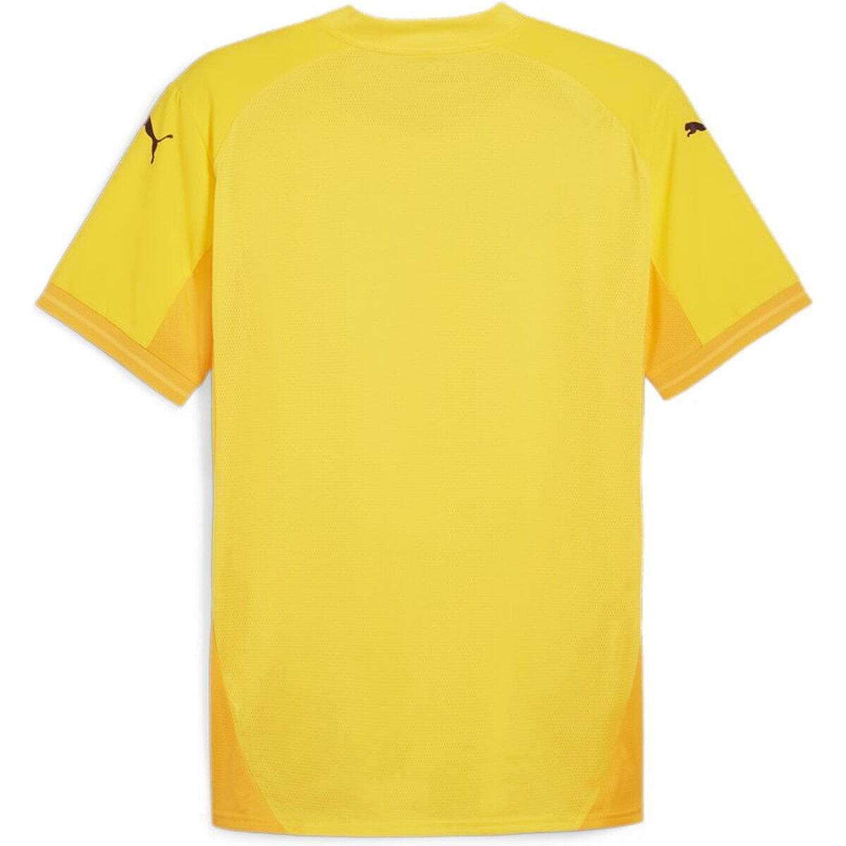 Shirt - Voetbal - Heren - Teamfinal - Slim Fit, Drooghoudend - Geel 2/6