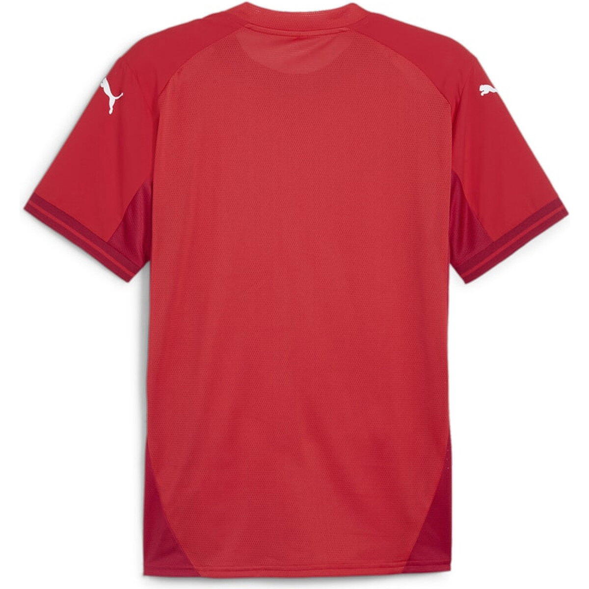 Shirt - Voetbal - Heren - Teamfinal - Slim fit, Vochtregulerend - Royal 2/6