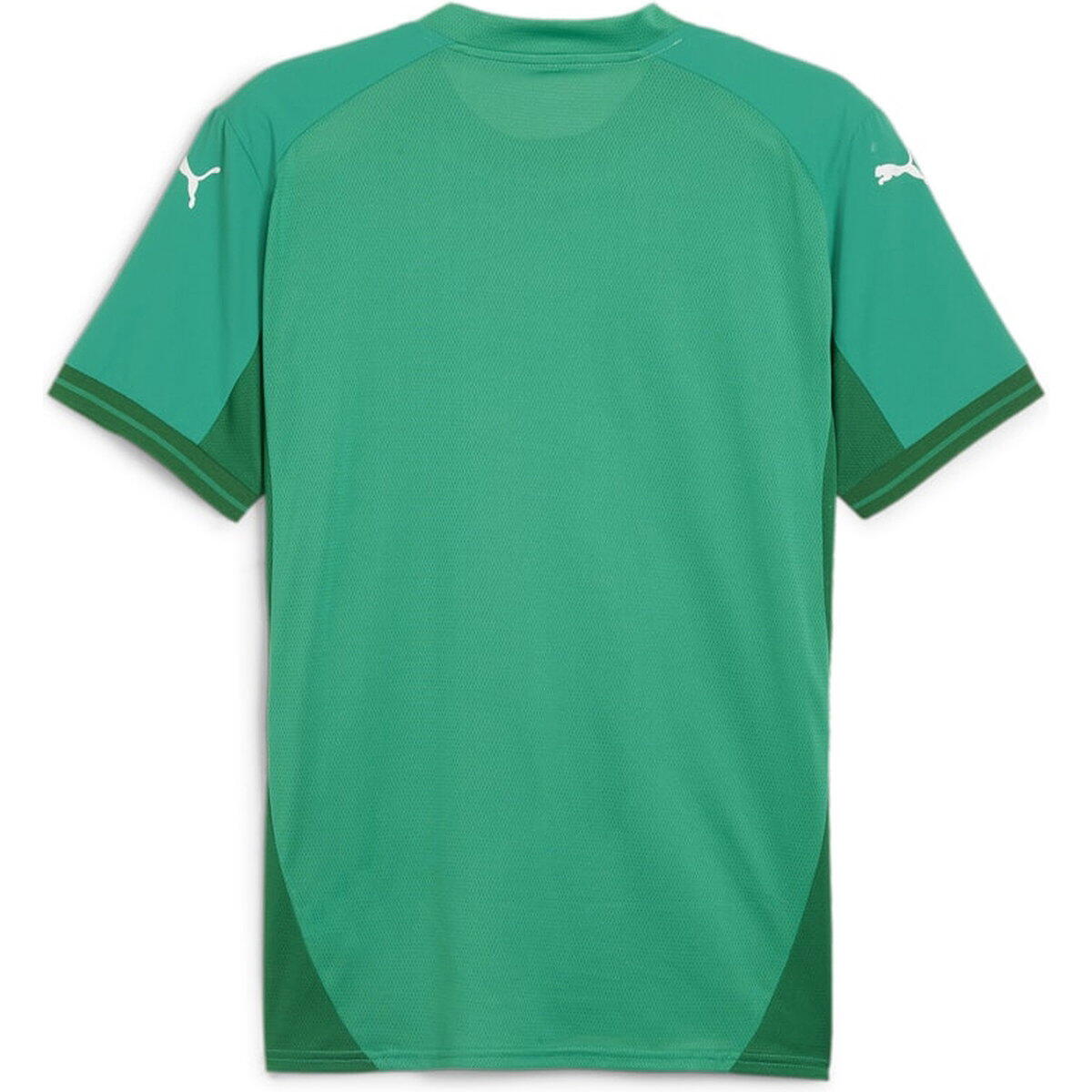 Teamshirt - Teamsport - Heren - Slim Fit, Vochtregulerend - Teamfinal - Royal 2/6
