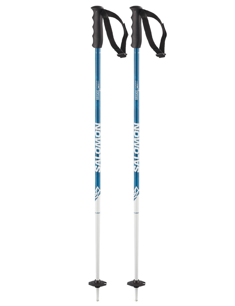 SALOMON picture