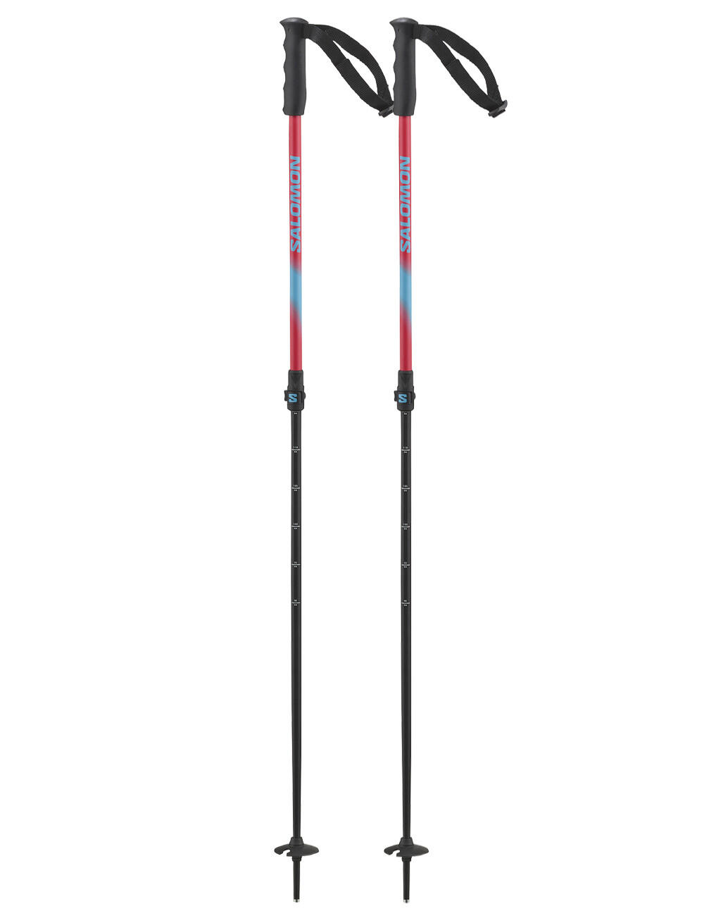 SALOMON picture