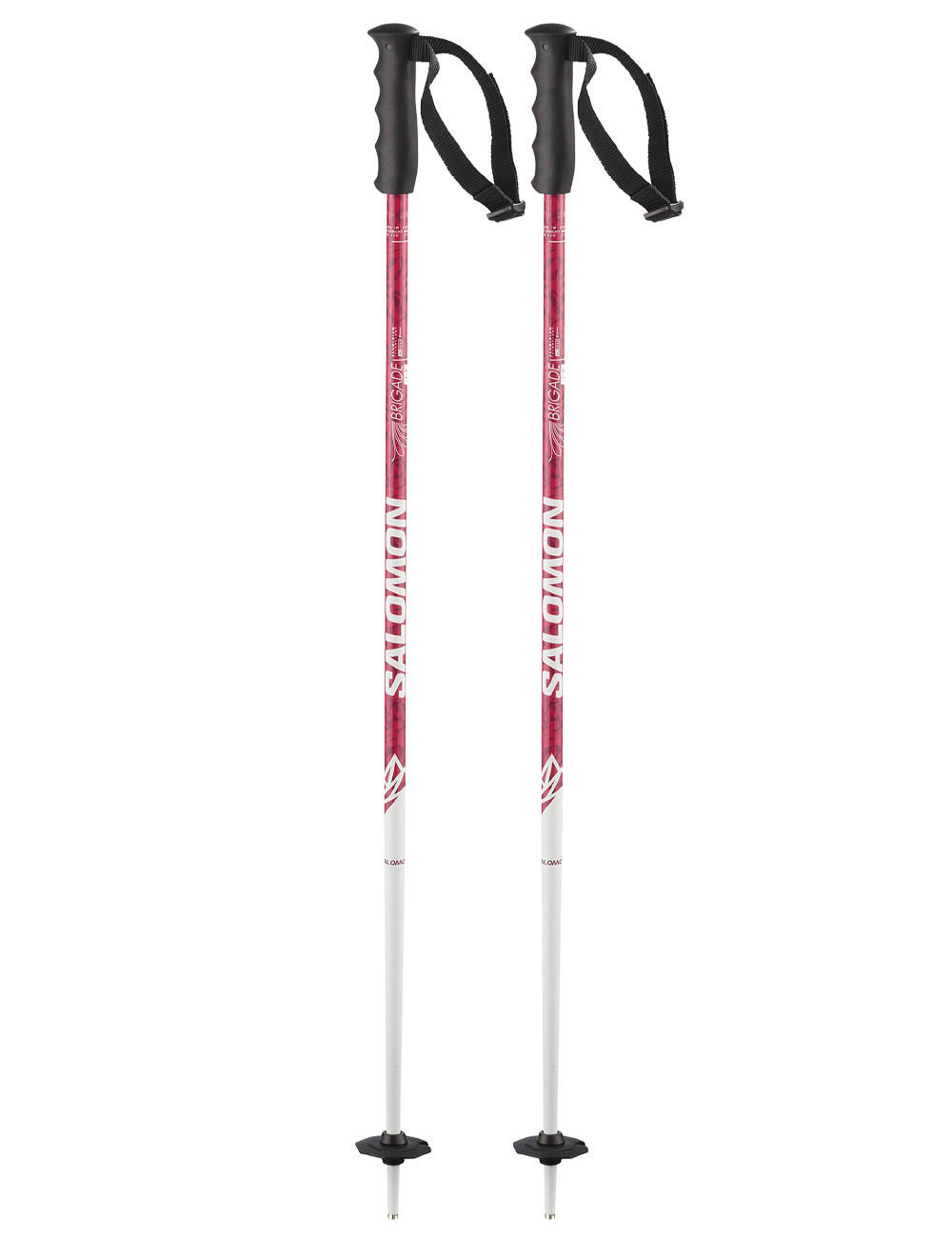 SALOMON picture