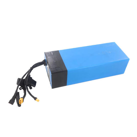 Batterie 48V 12.5AH Double Moteur ECROSSDUALMOTORBLEU/ECROSSDUO/ECROSSMAX2x Urba