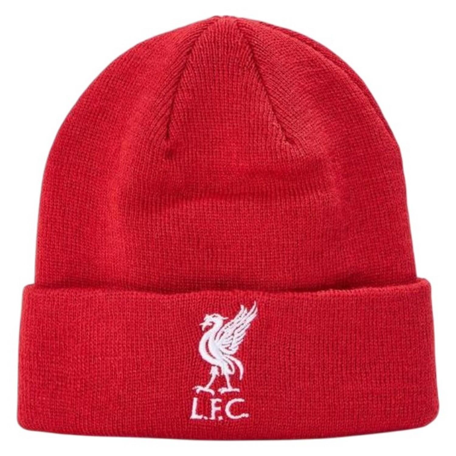 LIVERPOOL FC picture