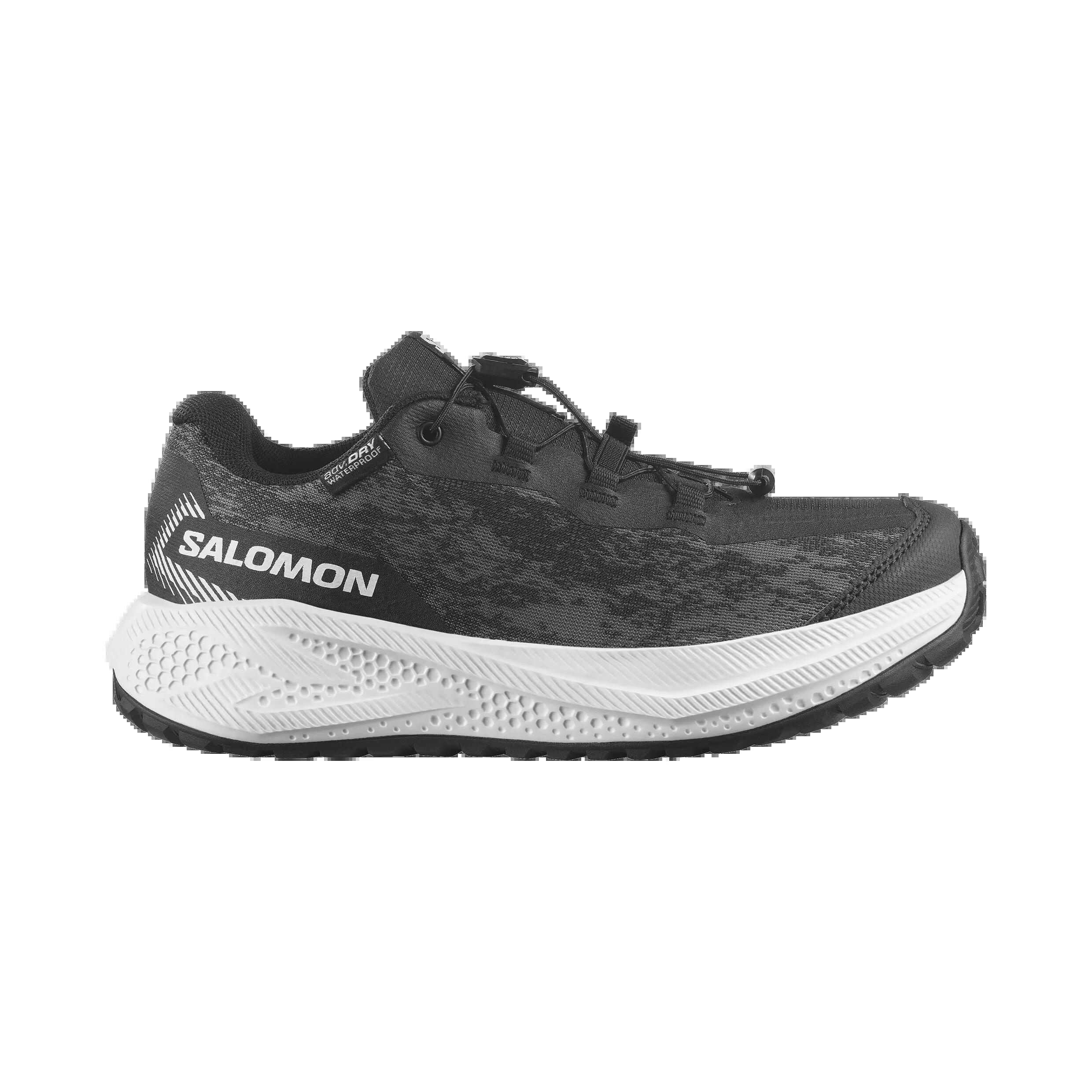 SALOMON picture