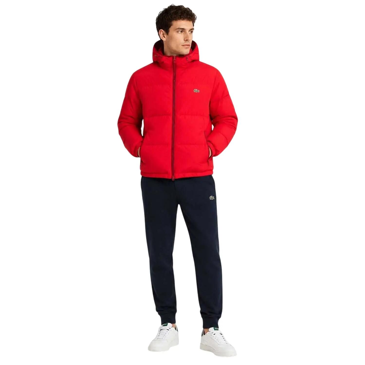 LACOSTE picture