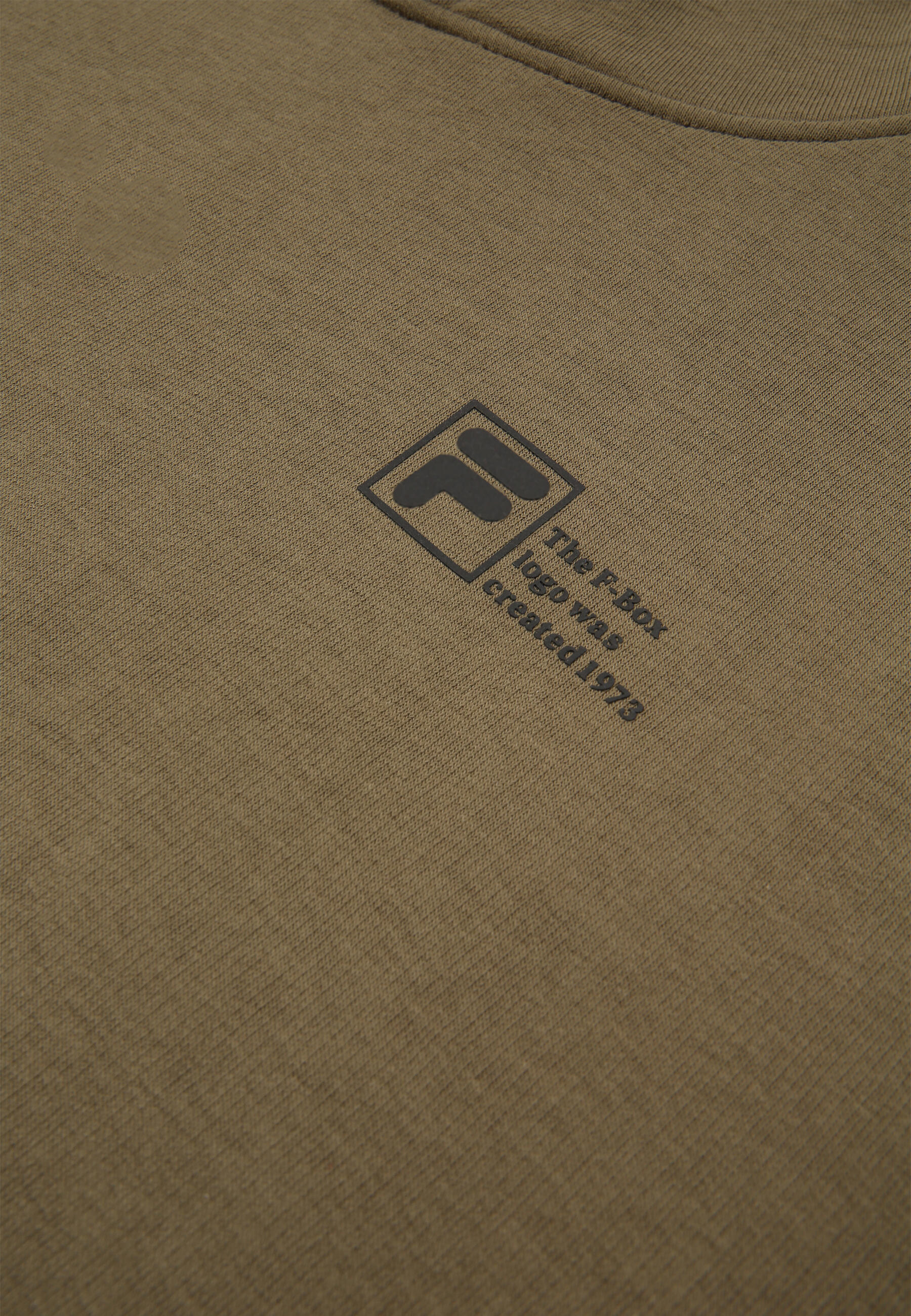 FILA Apparel ZWICKAU Hoodie mit Grafiklogo 3/3