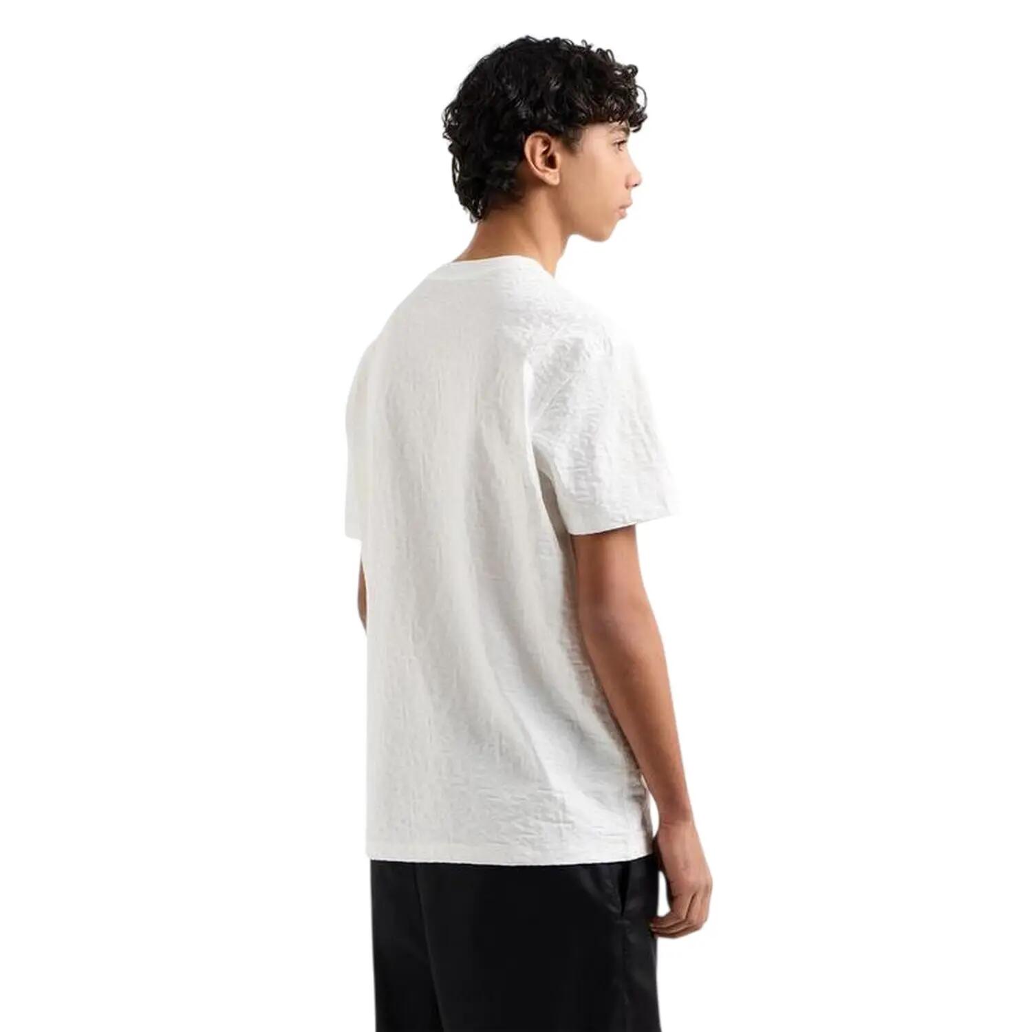 Mens Textured Crew Neck Regular TShirt (Off White) 3/3