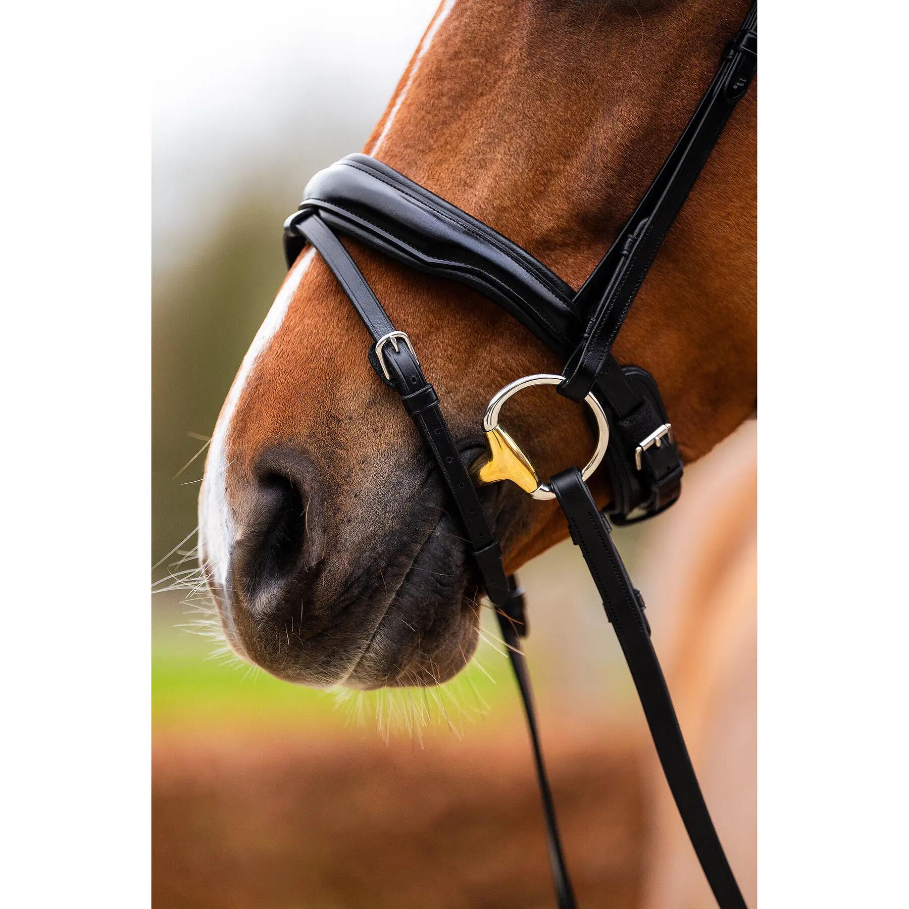 Anatomisch ruiterbit BR Equitation Hamilton 6/6