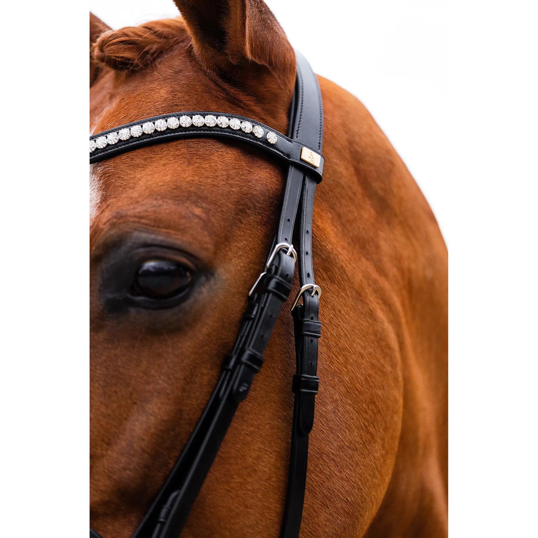 Anatomisch ruiterbit BR Equitation Hamilton 5/6