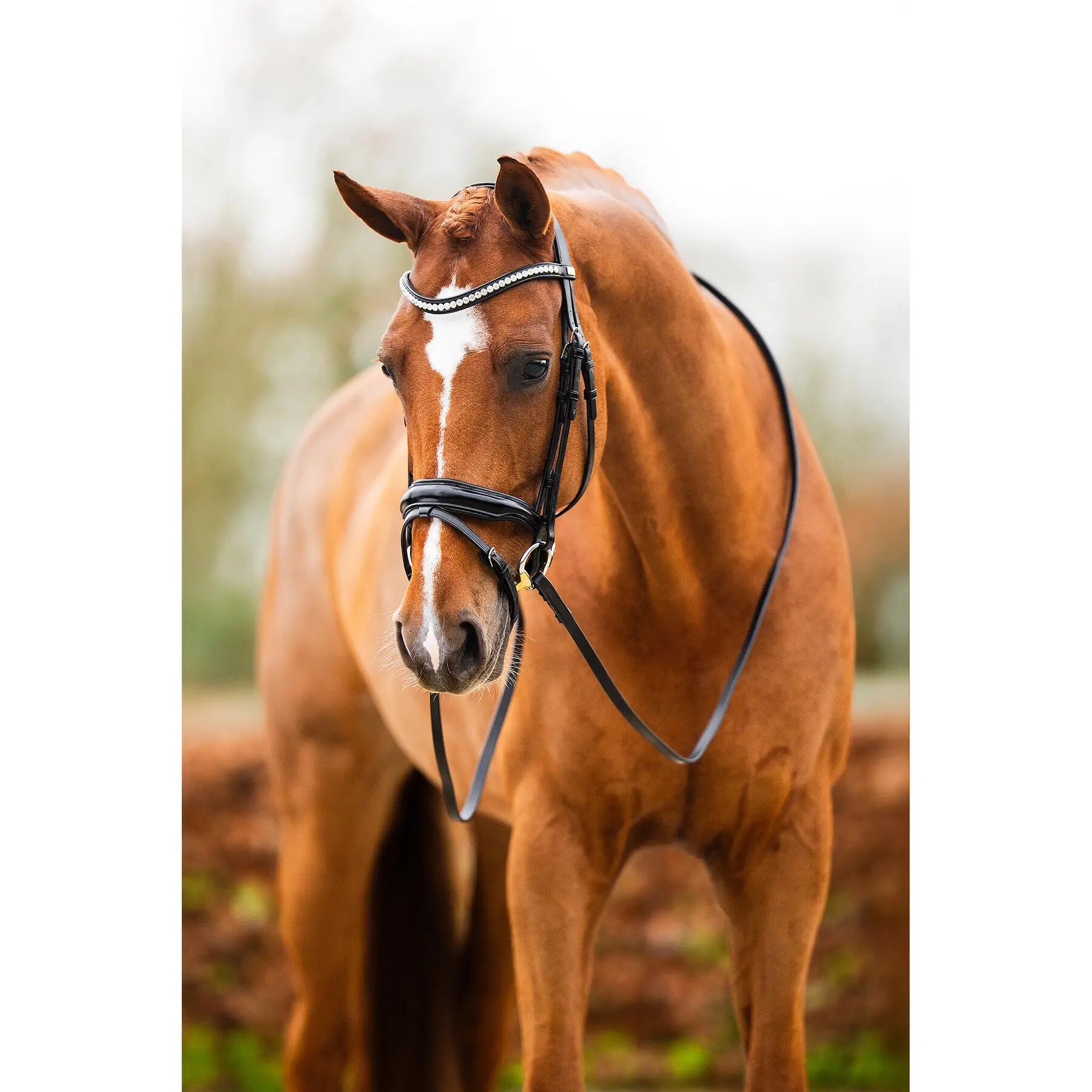 Anatomisch ruiterbit BR Equitation Hamilton 4/6