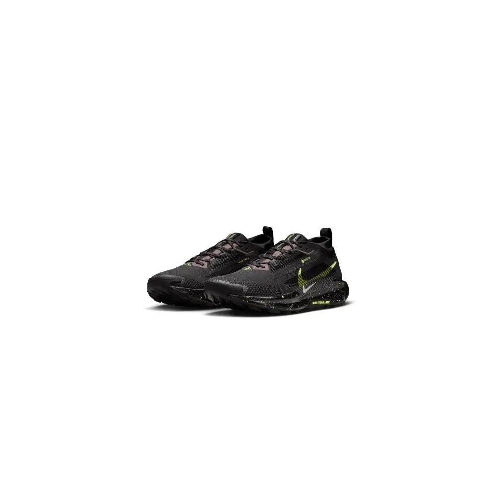 Shoes Nike Pegasus Trail 5 Gtx Fq0908 014
