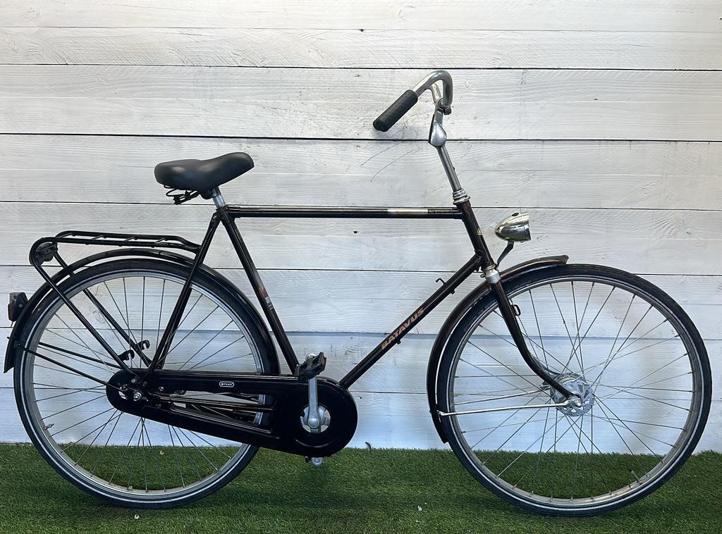 BATAVUS picture