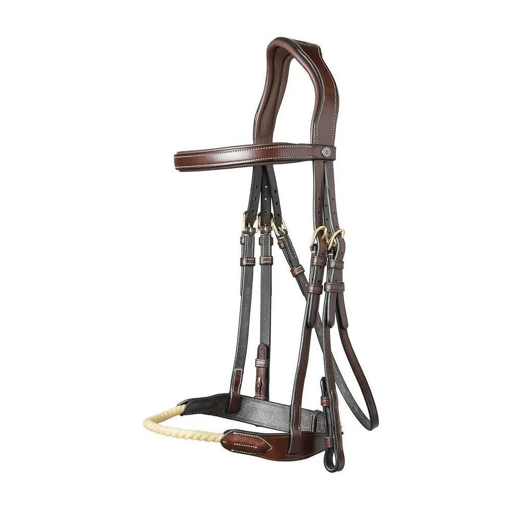 Combined riding bridle and noseband Trust St. Gallen