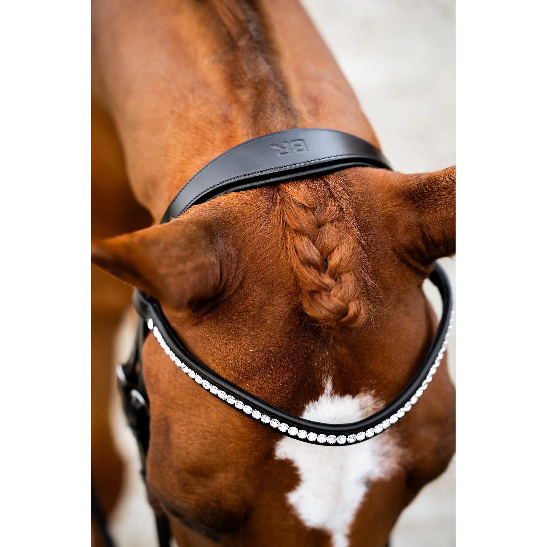 Anatomisch ruiterbit BR Equitation Hexham 7/7
