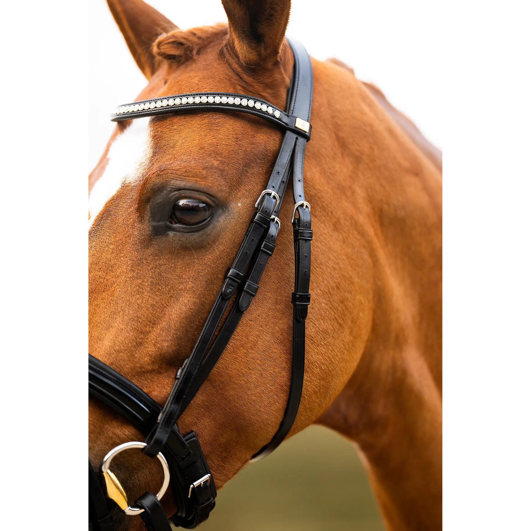 Anatomisch ruiterbit BR Equitation Hexham 6/7