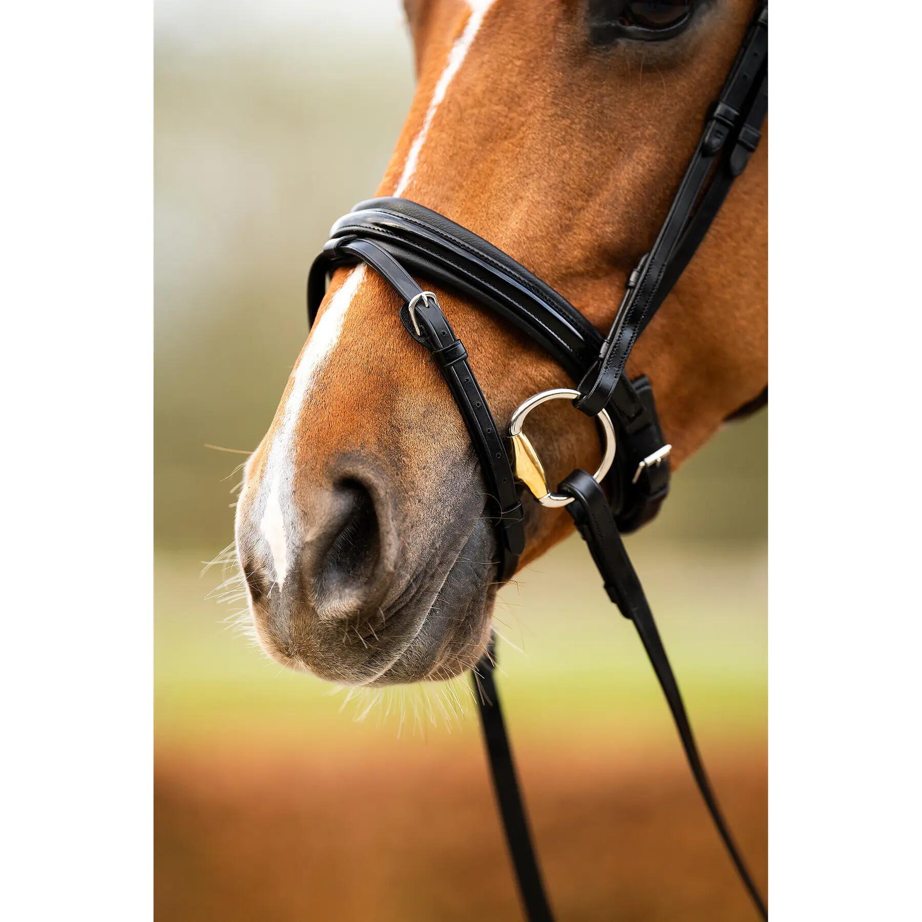 Anatomisch ruiterbit BR Equitation Hexham 5/7