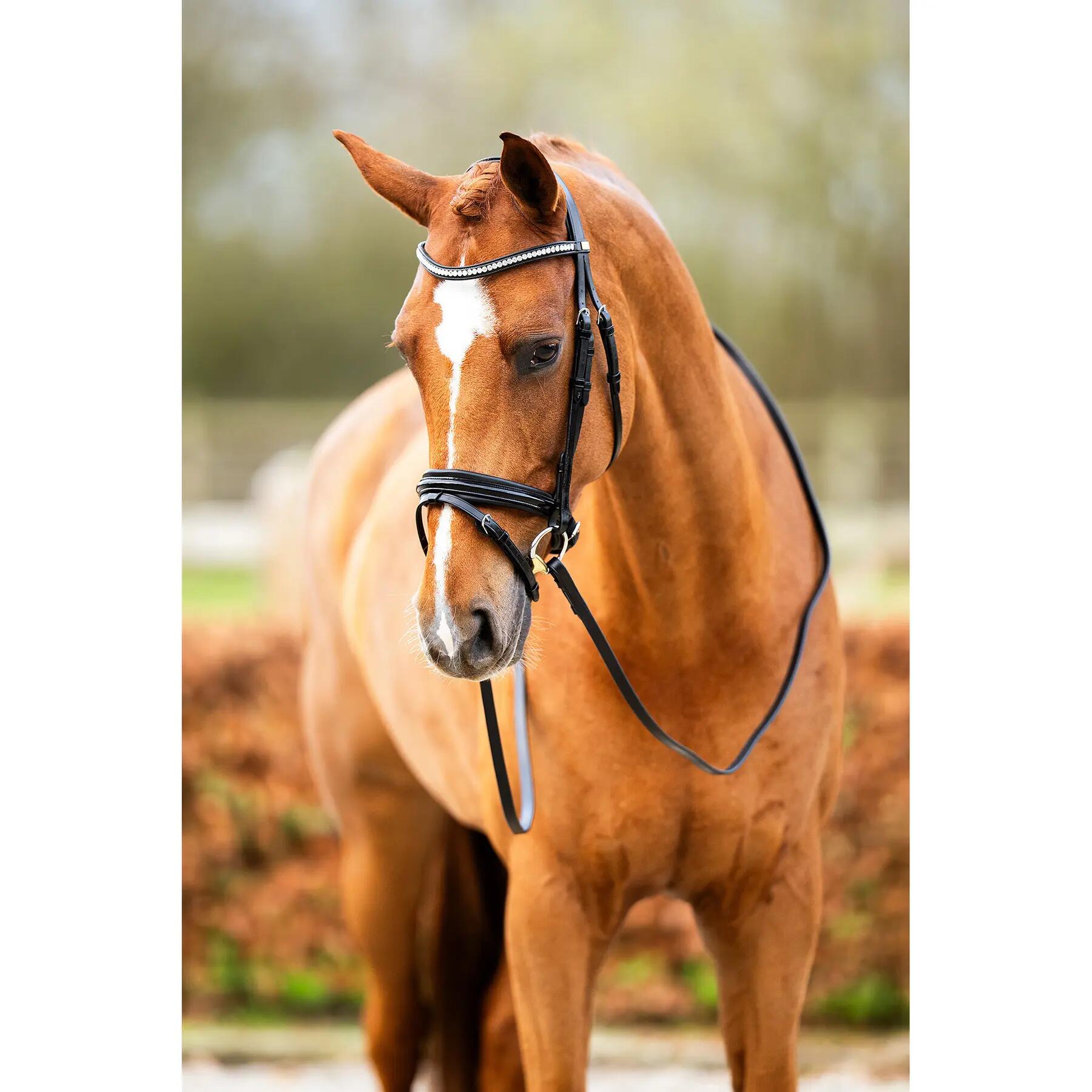 Anatomisch ruiterbit BR Equitation Hexham 4/7
