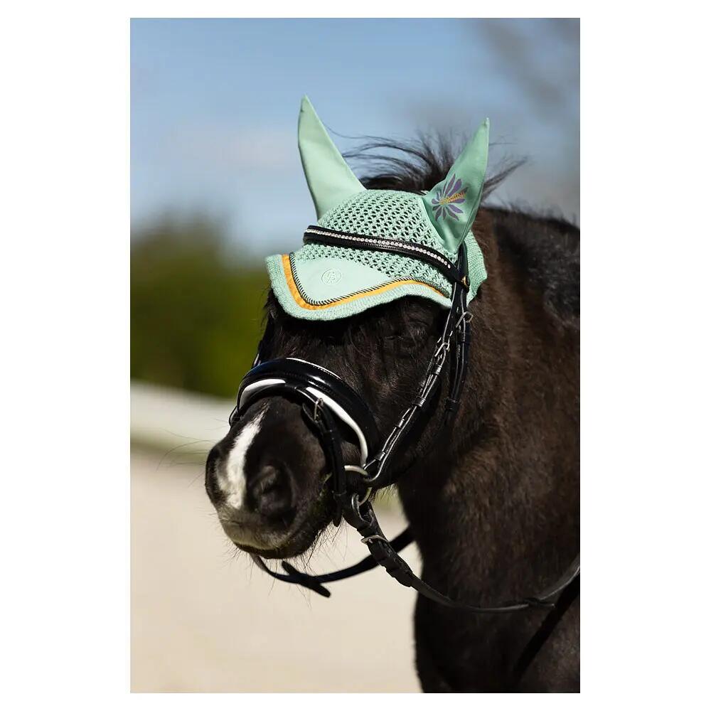 Cuffietta BR Equitation Mini Horse 3/5