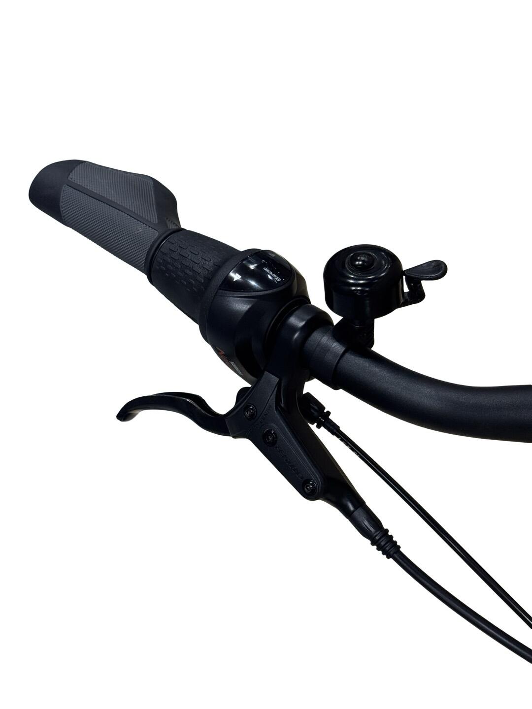 Segunda vida - Bicicletas eléctricas Giant DailyTour E+ 1 BD Nexus - Como novo 5/13