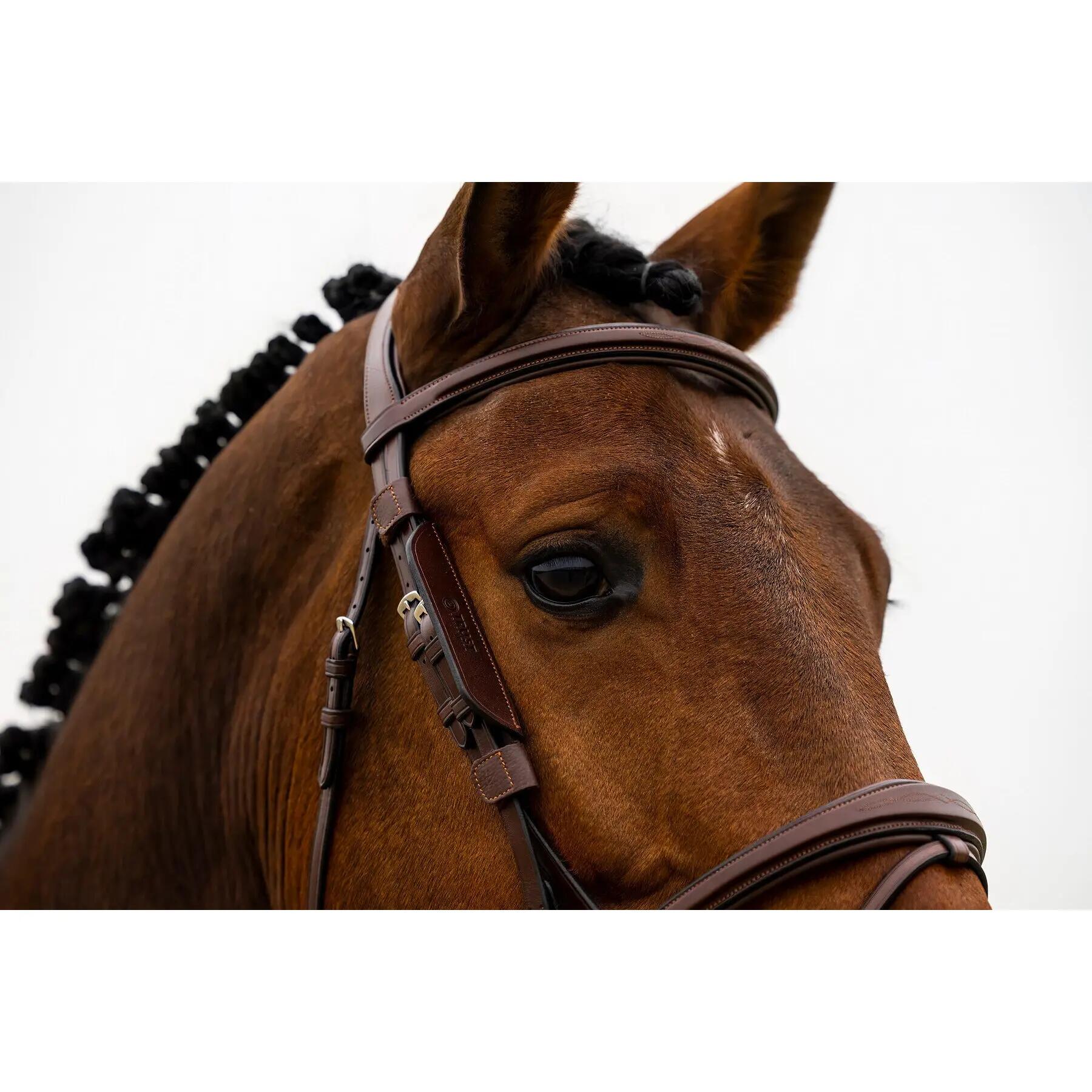Œillères pour cheval Trust 2/2
