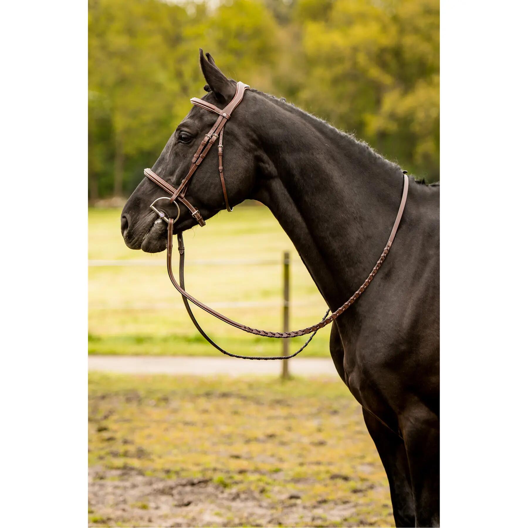Bridon d'équitation anatomique Trust Kentucky 2/2