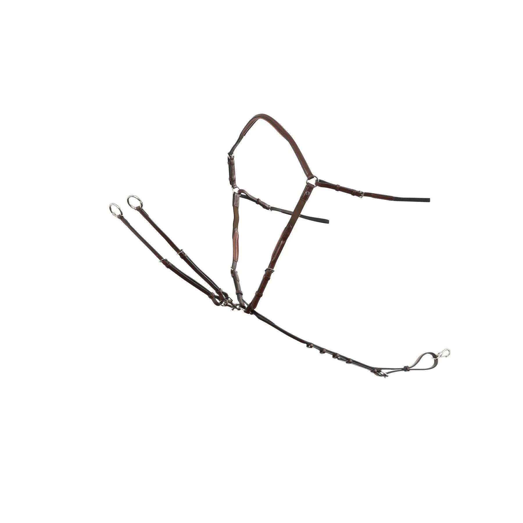 TRUST picture