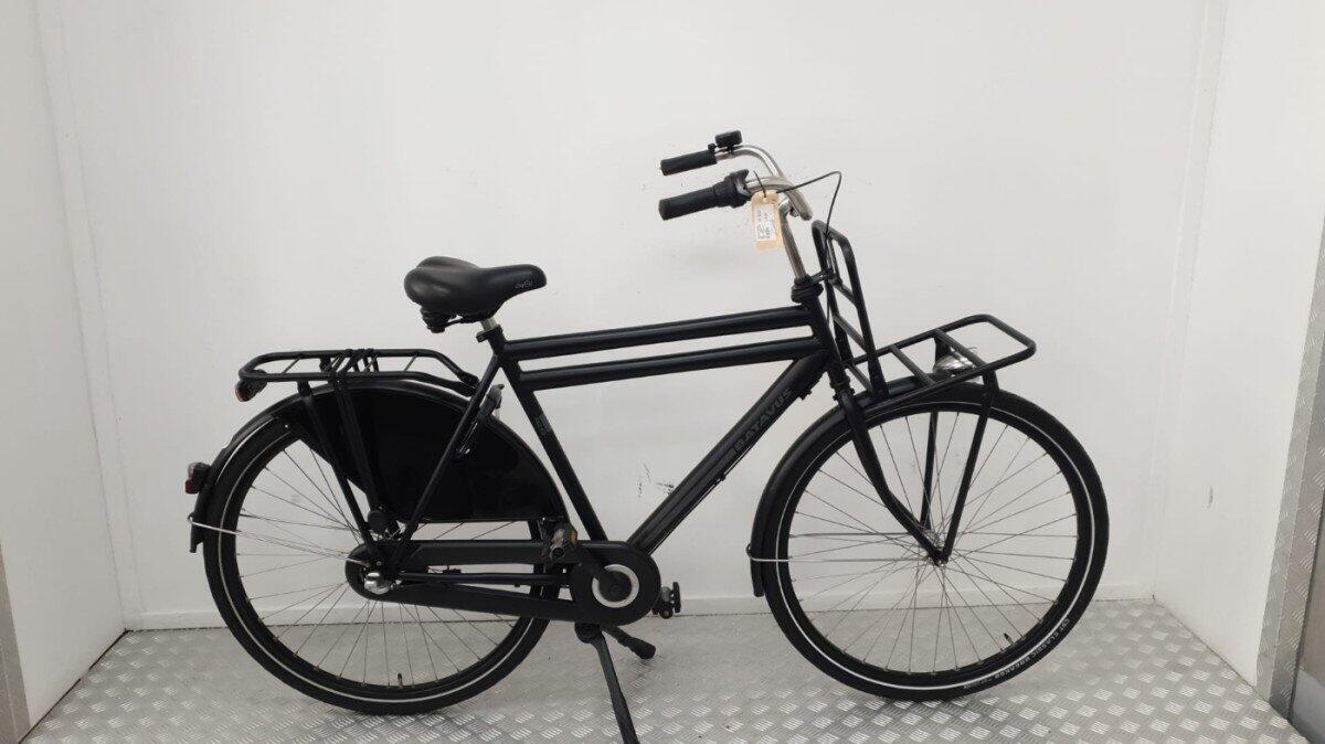BATAVUS picture