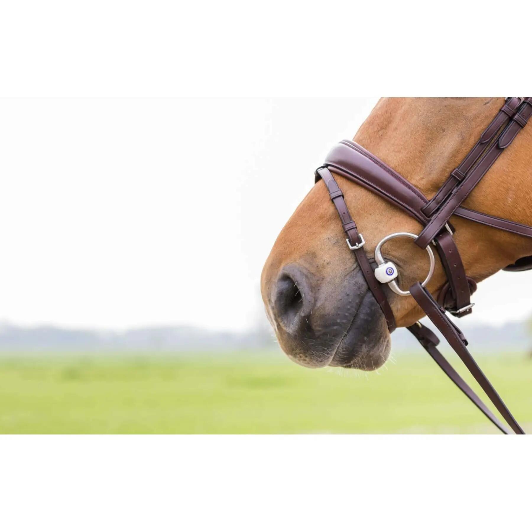 Mors olive pour cheval à canon mullen Trust Inno Sense 20 4/4