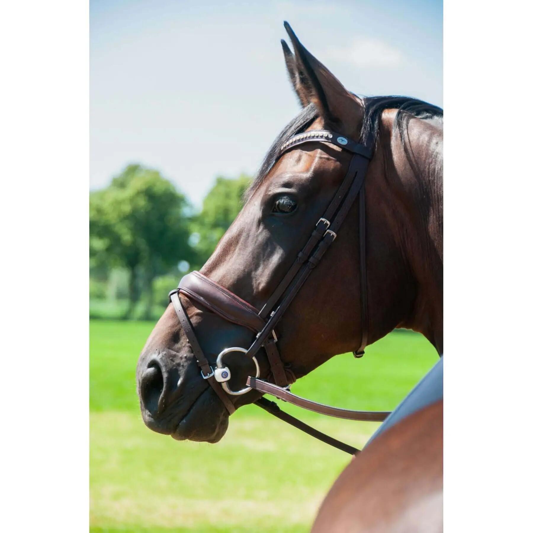 Mors olive pour cheval à canon mullen Trust Inno Sense 20 3/4