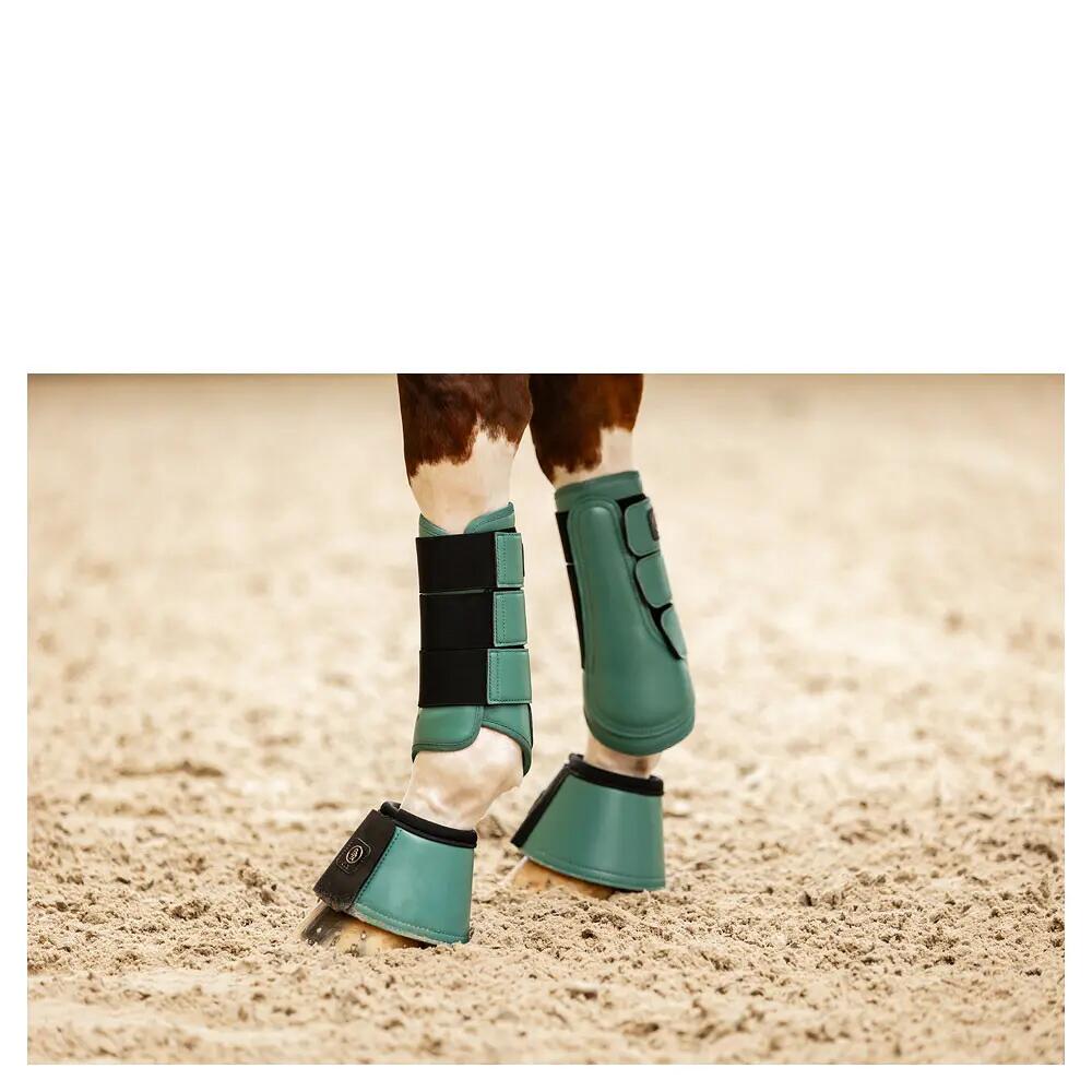 Hufglocken BR Equitation CLX 4/5
