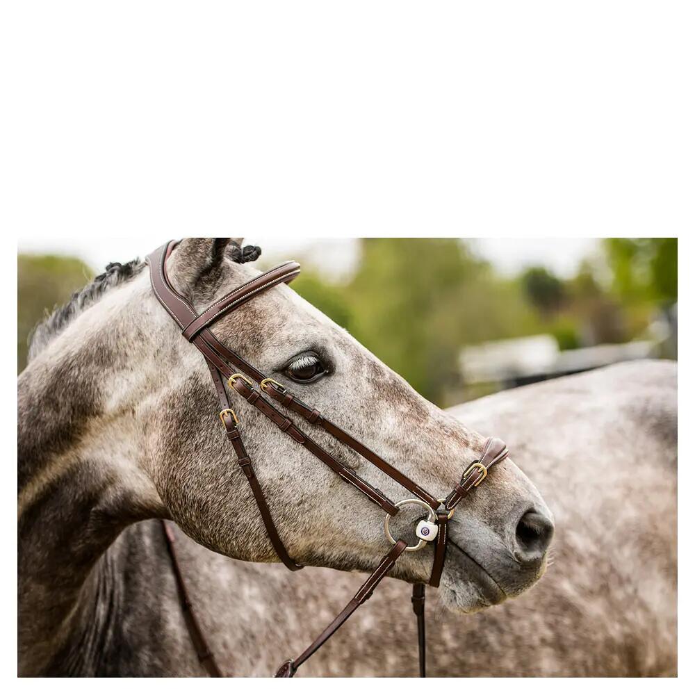 Bridon d'équitation anatomique Trust Barcelona 3/3