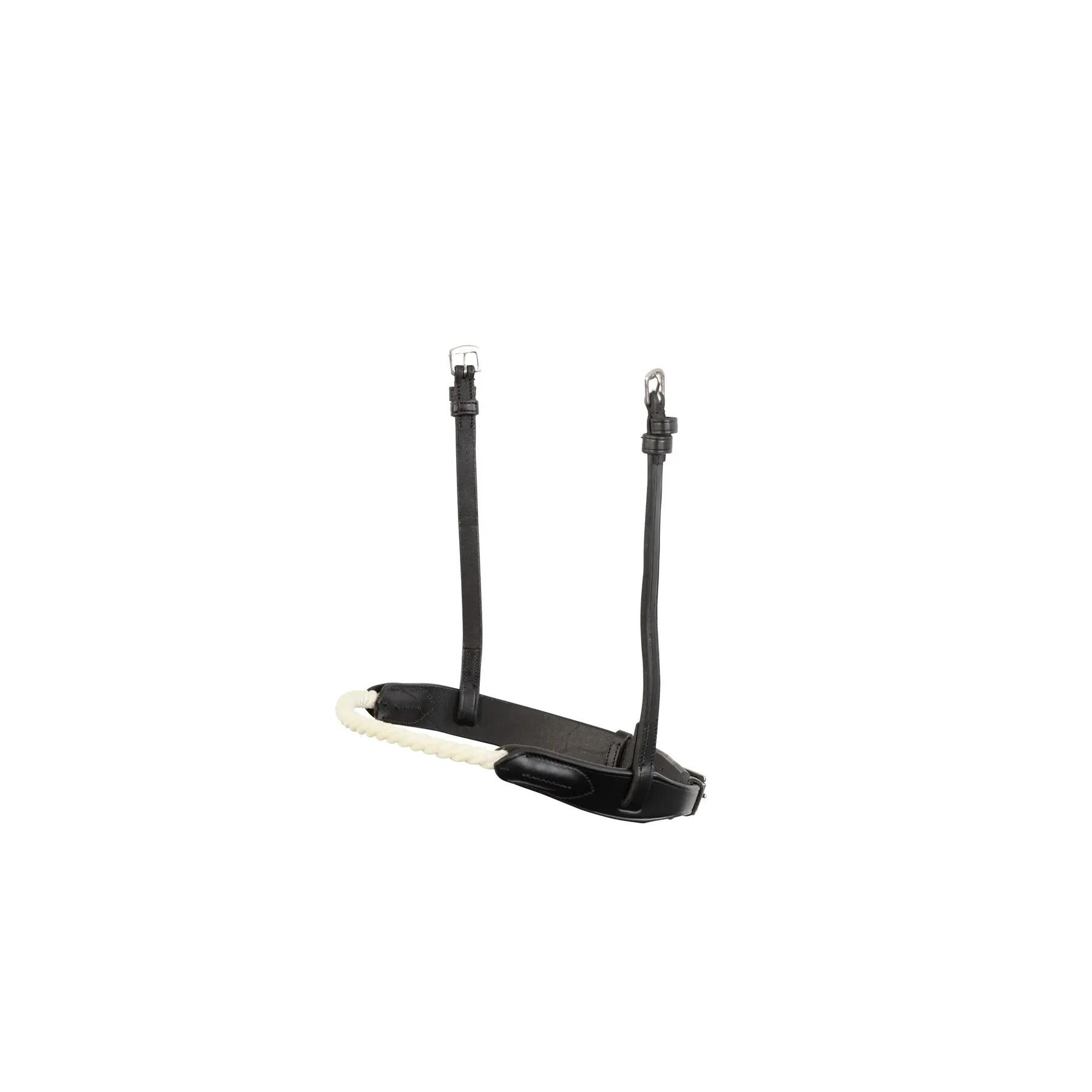 TRUST picture