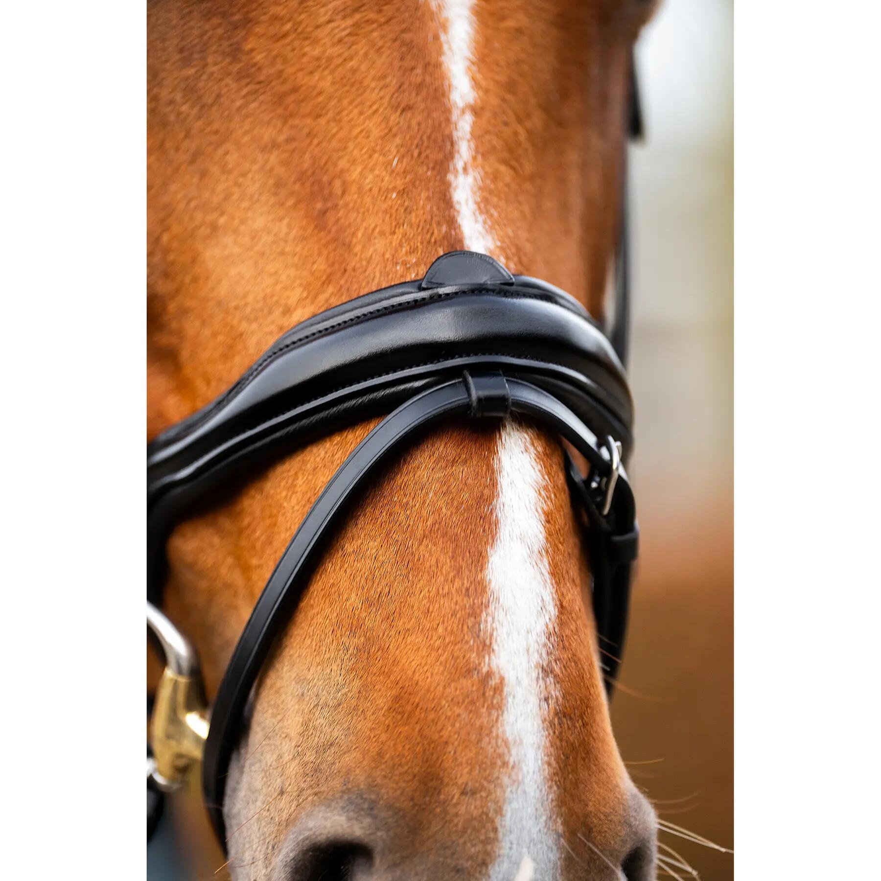 Anatomisch ruiterbit BR Equitation Stockport 7/7