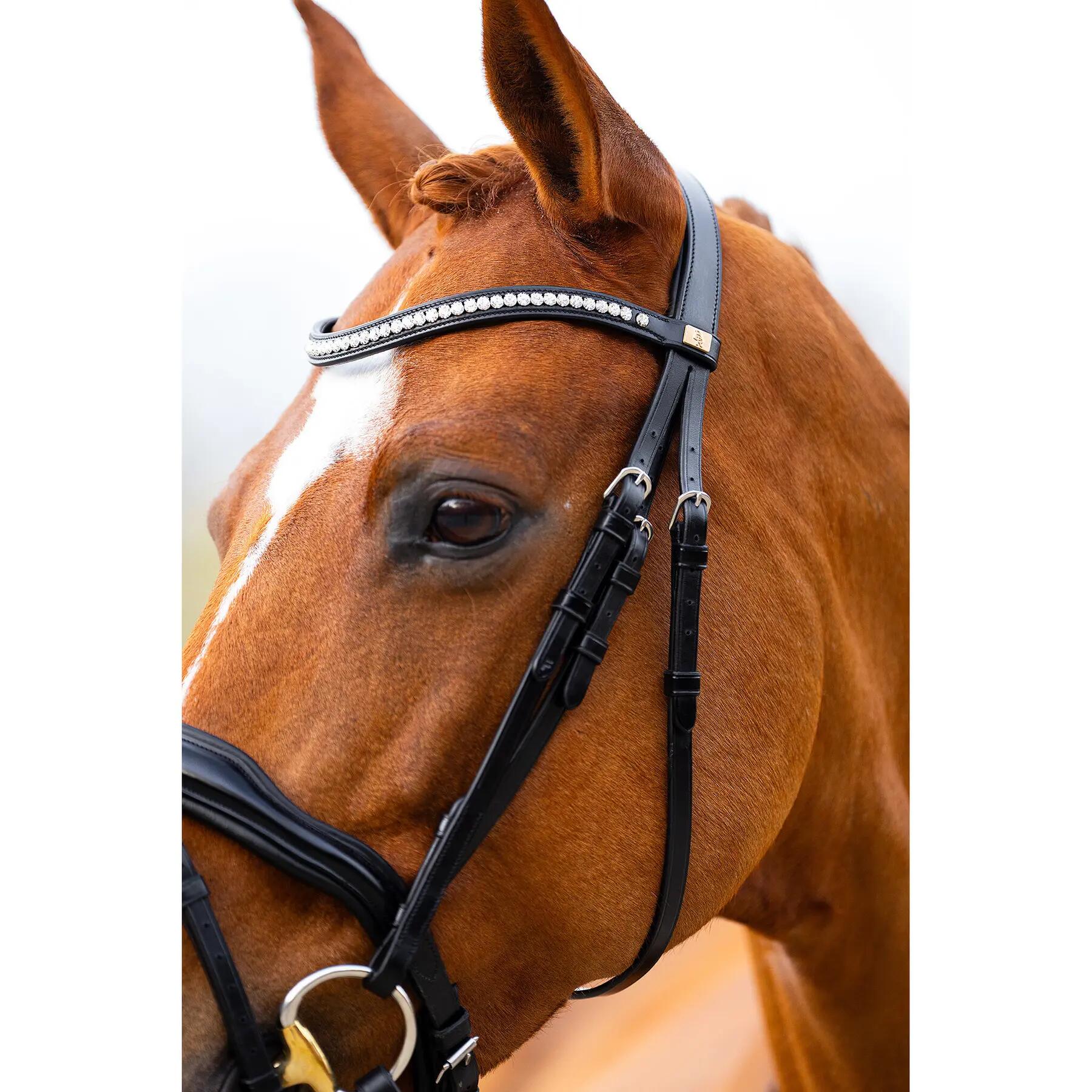 Anatomisch ruiterbit BR Equitation Stockport 6/7
