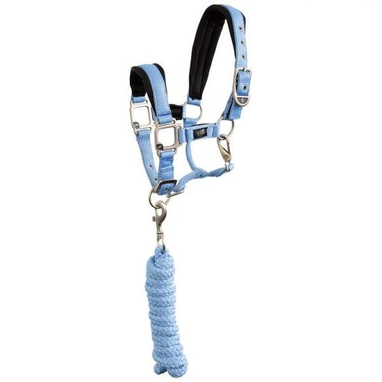 Ensemble licol et longe pour cheval BR Equitation Mini Horse