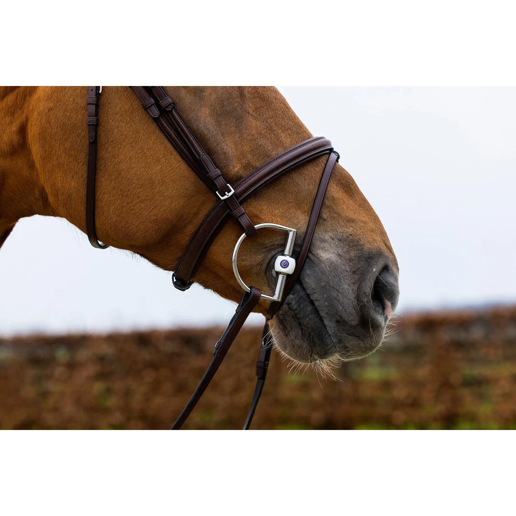 Bridon d'équitation anatomique Trust Classic 2/2