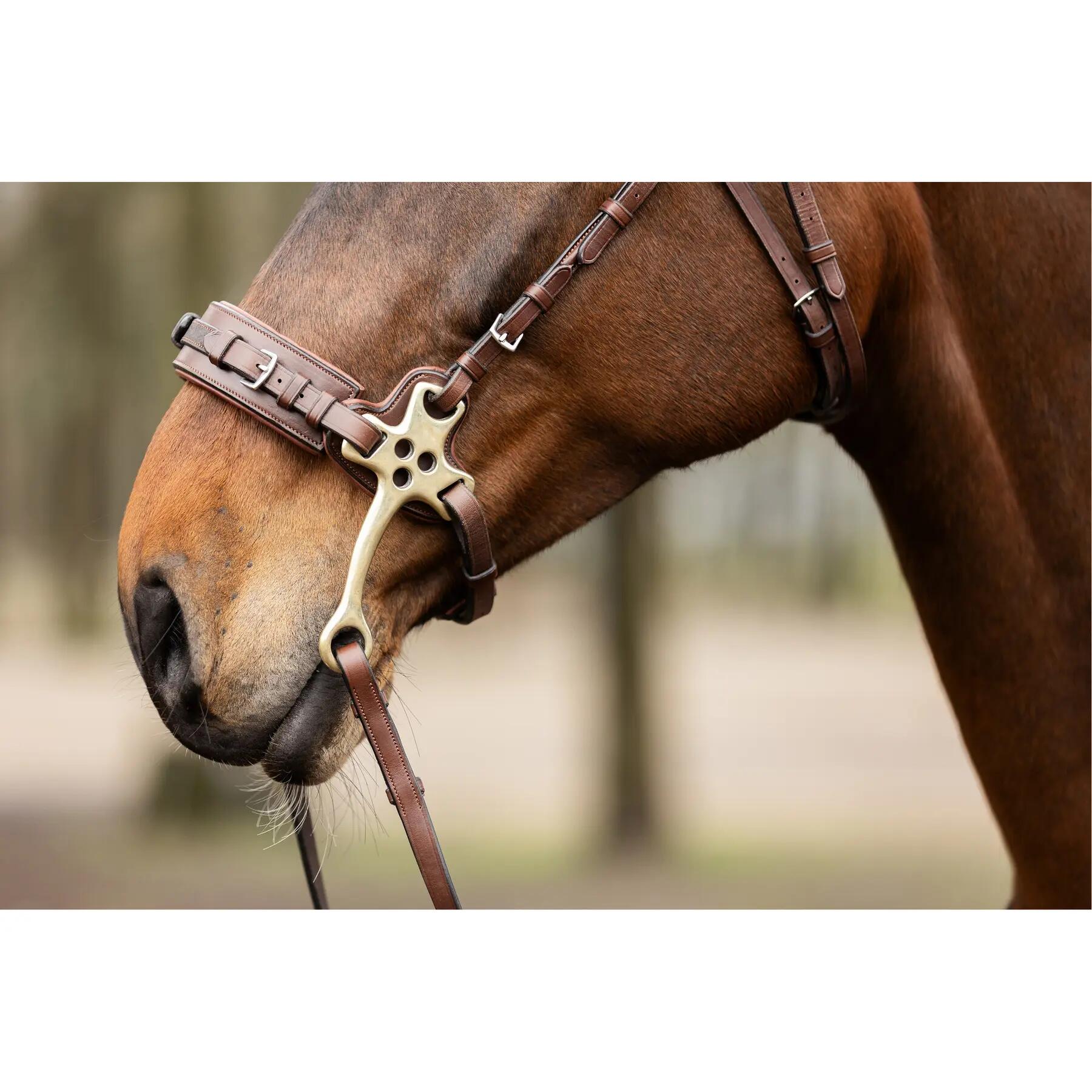 Muserolle cheval Trust Hackamore 2/2