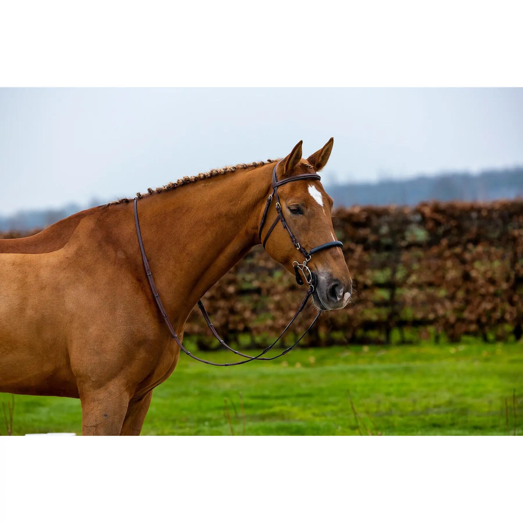 Bridon d'équitation anatomique Trust Hickstead Hackamore 2/2