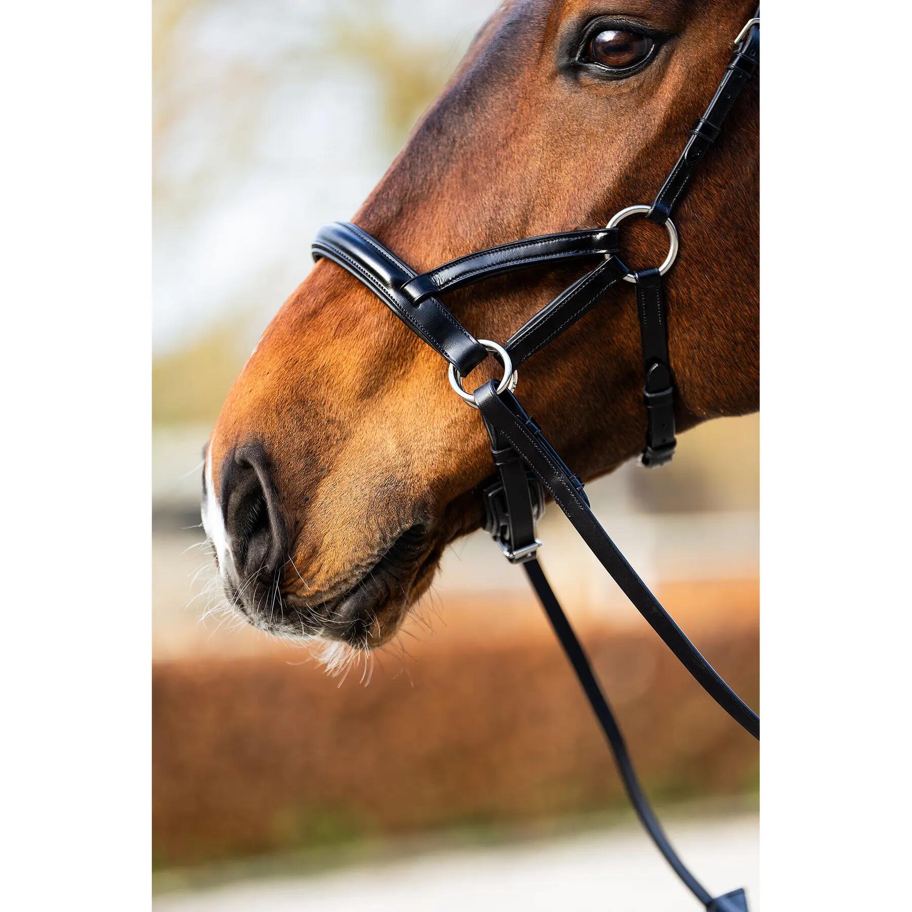 Bittina anatomica per equitazione BR Equitation Thaxted 6/6