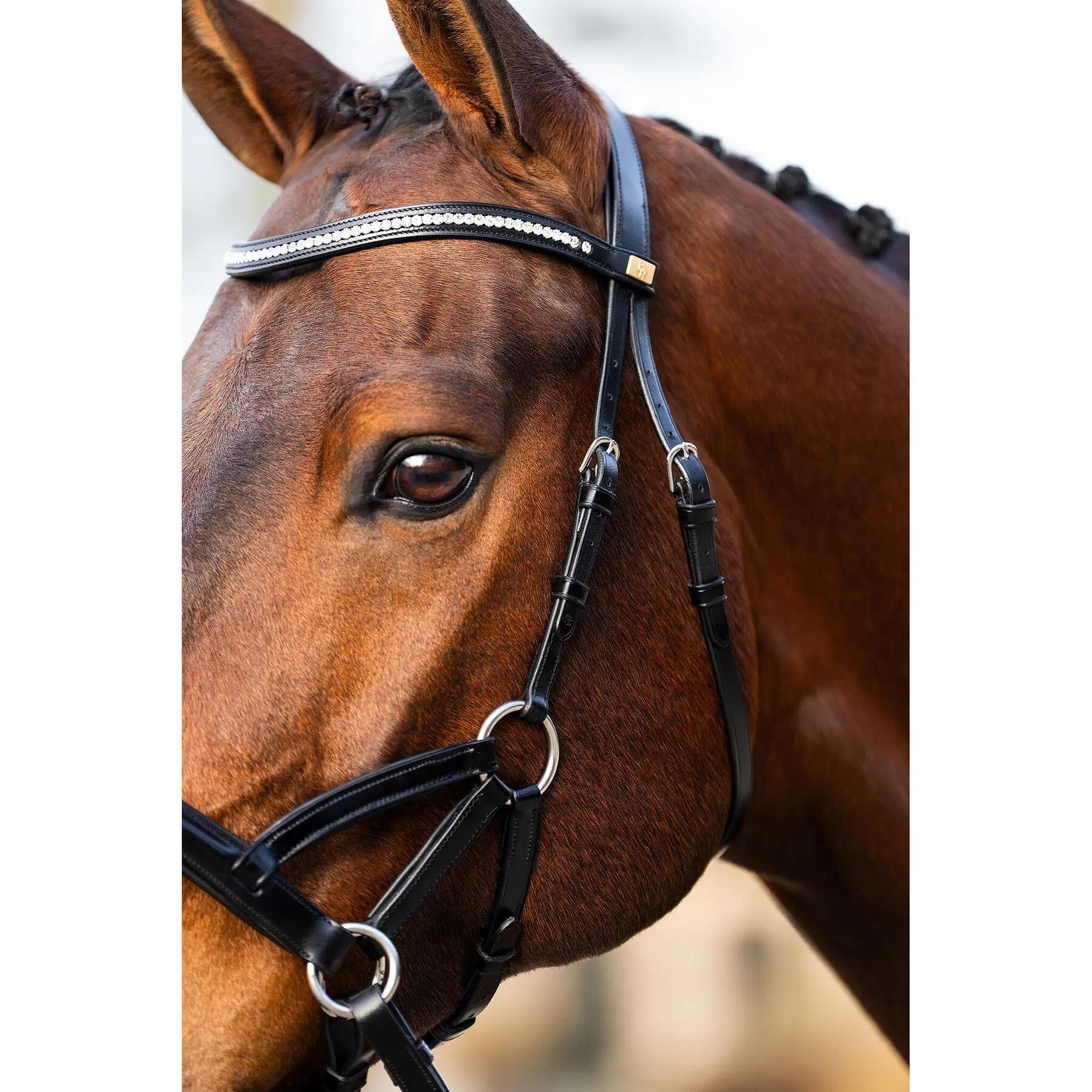 Bittina anatomica per equitazione BR Equitation Thaxted 5/6