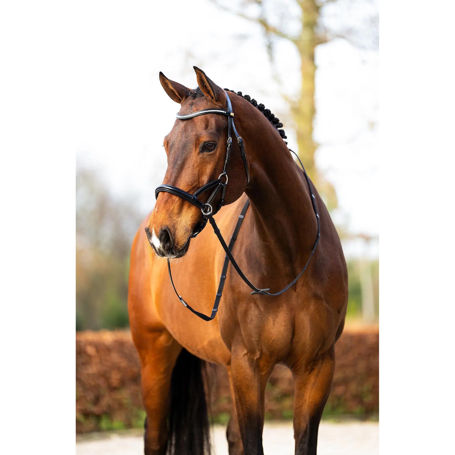 Bittina anatomica per equitazione BR Equitation Thaxted 4/6