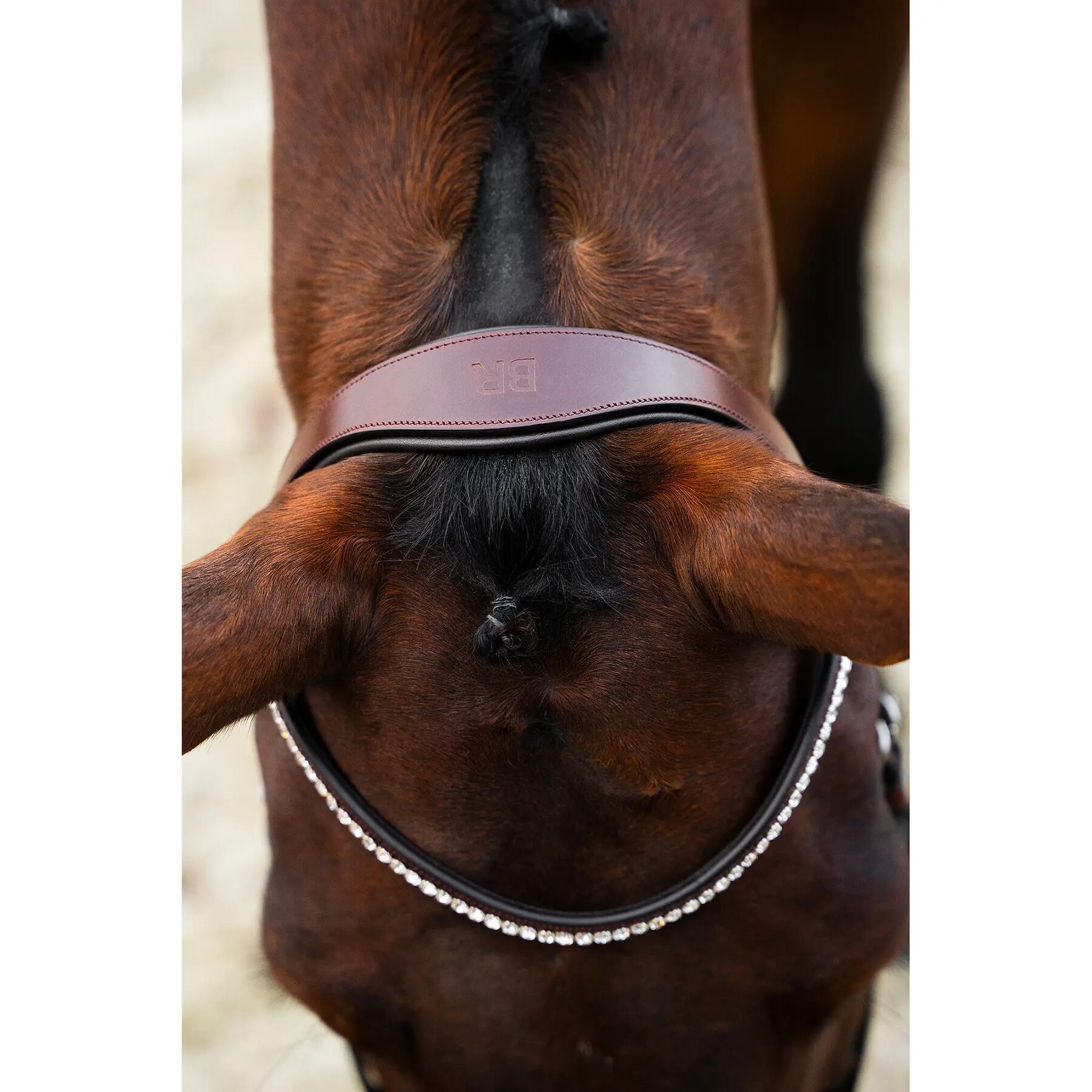 Anatomisch ruiterbit BR Equitation Shildon 7/7